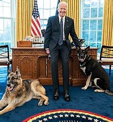 White House Downplayed The Extent To Which American Patriot And World’s Greatest Dog Major Was Biting Officials Around The Biden Admin