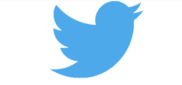 twitter logo wiki