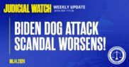 biden dog