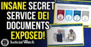 secret service