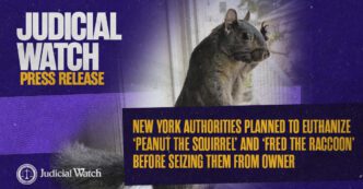 peanut pr