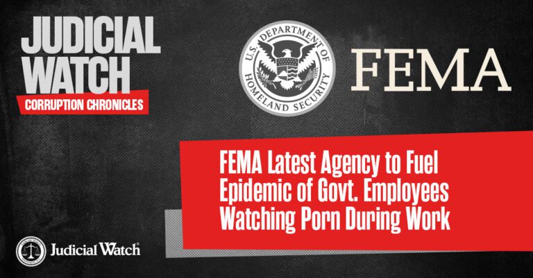 fema cc