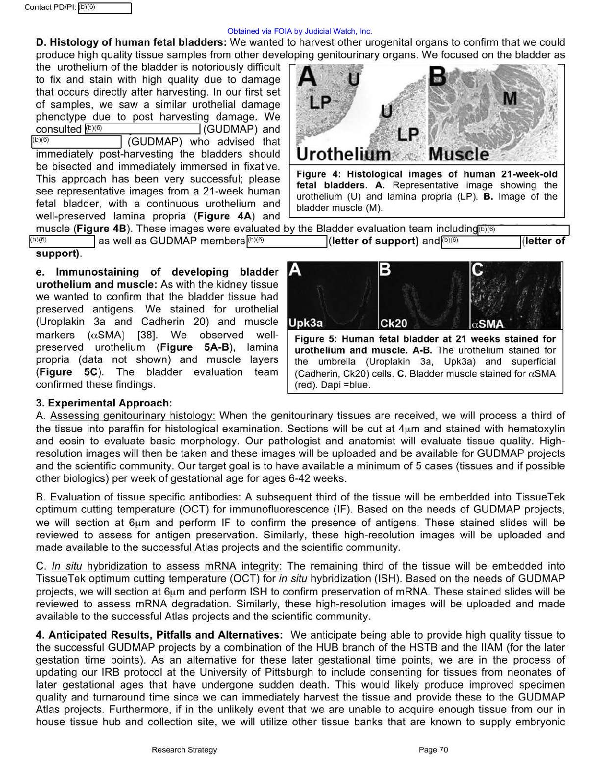 JW v HHS NIH July 2021 Records 00642 pg 178