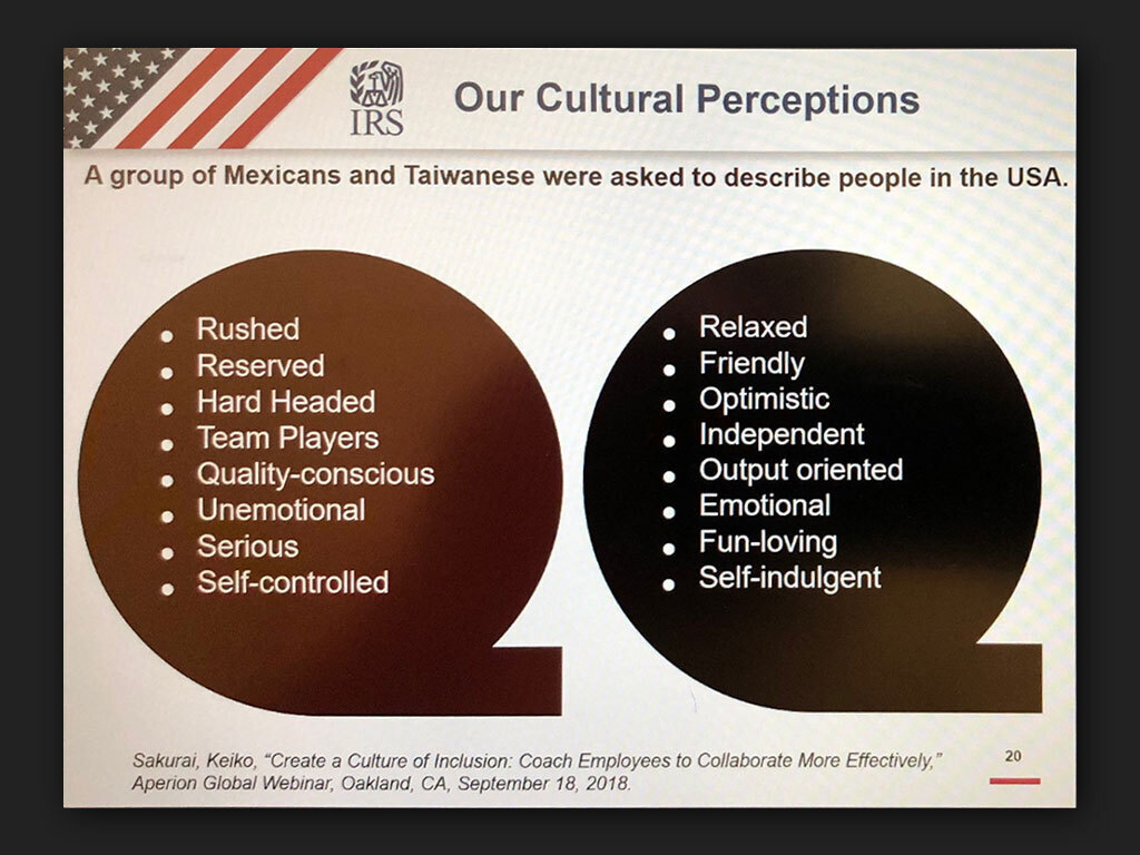 IRS Woke Training Slide 8